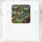 pauw veren plumafbeelding patroon vierkante sticker (Tas)