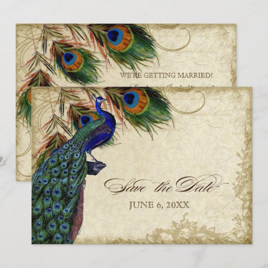 Pauw & Veren Save the Date Theekleurig (Voorkant / Achterkant)