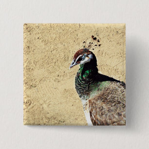 Pauw Vierkante Button 5,1 Cm