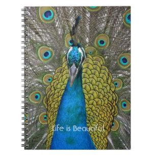 Pauw Vogel Kauai (mijn fotografie) Notitieboek