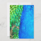 Pauwblauwe groene veertextuur zomer bruiloft kaart (Achterkant)