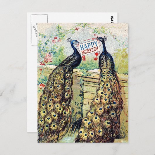  pauwen - Happy Moederdag Briefkaart (Voorkant / Achterkant)