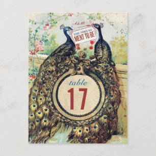 pauwen in een romantische tuin briefkaart