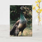 Pauwen Kaart (Gele Bloem)