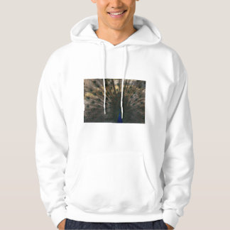 Pauwenkraag hoodie