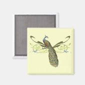  pauwenmagneet magneet (Voorkant / Achterkant)