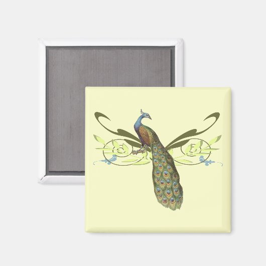  pauwenmagneet magneet (Voorkant / Achterkant)