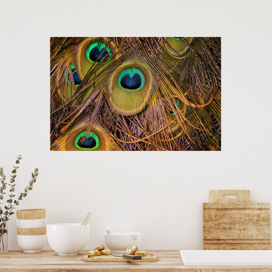 Pauwenoog Poster (Keuken)