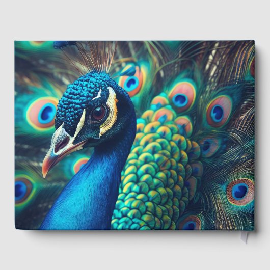 pauwenprofiel gastenboek (Achterkant)