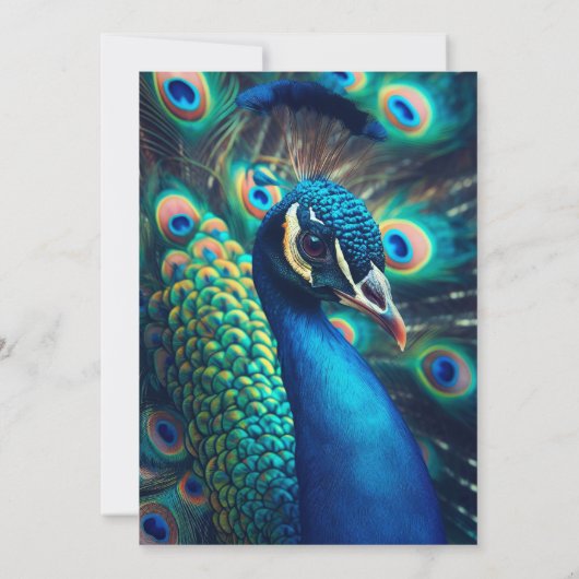 pauwenprofiel kaart (Achterkant)