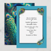 pauwenprofiel kaart (Voorkant / Achterkant)