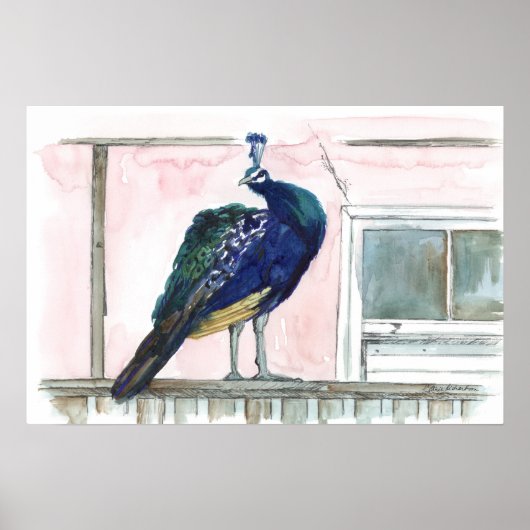 Pauwentuin Huis Raam Roze Aquarel Poster (Voorkant)