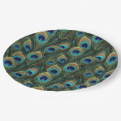 Pauwenvederen vol kleur papieren bordje (Gekanteld)