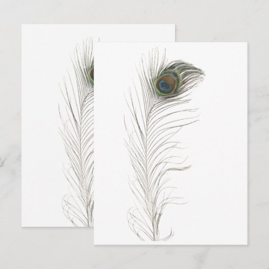 Pauwestaartveer Uitnodiging Briefkaart (Voorkant / Achterkant)