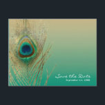Pauwestaartveer Zand en Turquoise Boho Save the Da Aankondigingskaart<br><div class="desc">Pauwestaartveer Zand en Turquoise Boho Save the Date Postcard. Gepersonaliseerd voor elke gelegenheid.</div>