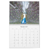 Pauwkalender Kalender (Jan 2027)