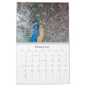 Pauwkalender Kalender (Feb 2027)