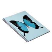 Pauwkoninklijk Notitieboek (Rechterzijde)