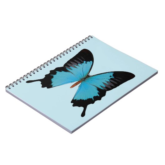 Pauwkoninklijk Notitieboek (Linkerzijde)