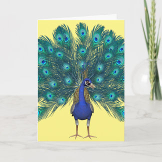 PAUWKUNST GROTE VERJAARDAGSKAART BEDANKKAART