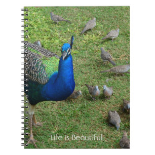 Pauwonen Kauai (mijn fotografie) Notitieboek