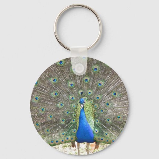 Pauwslinger sleutelhanger (Voorkant)