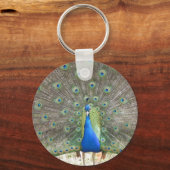 Pauwslinger sleutelhanger (Voorkant)