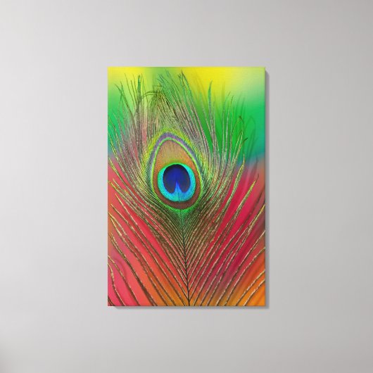 Pauwveer close-up canvas afdruk (Voorkant)