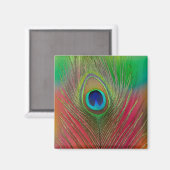 Pauwveer close-up magneet (Voorkant / Achterkant)