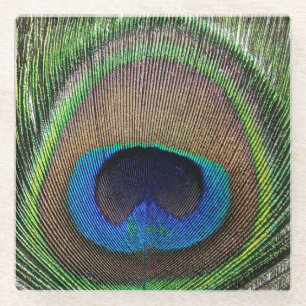 Pauwveer Foto - Glas Coaster Glazen Onderzetter