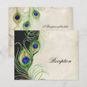 Pauwveer Ontvangst Uitnodigingskaart Informatiekaartje (Voorkant / Achterkant)