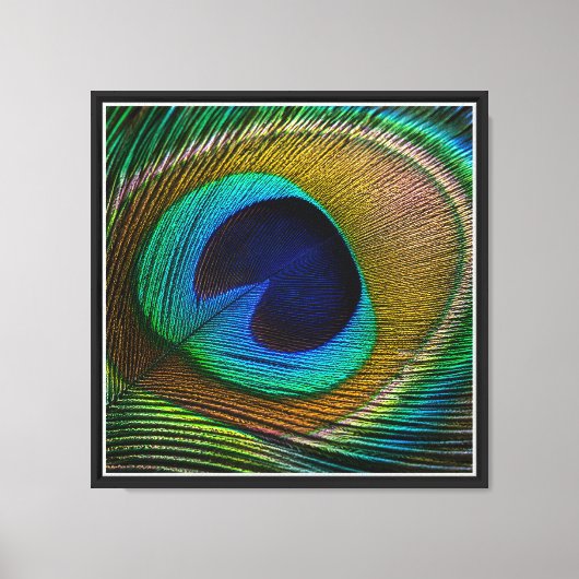 Pauwveer Oog Canvas Afdruk (Voorkant)