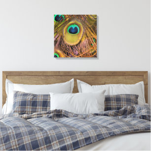 Pauwveerogen Canvasprint Canvas Afdruk