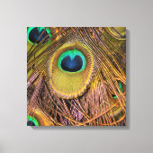Pauwveerogen Canvasprint Canvas Afdruk (Voorkant)