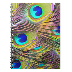 Pauwveren 5 Notitieboeken