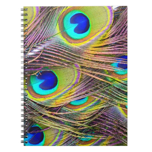 Pauwveren 5 Notitieboeken (Voorkant)