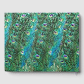 Pauwveren, abstract - modern  gastenboek (Achterkant)