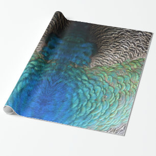 Pauwveren I Kleurrijk Abstract Natuurontwerp Cadeaupapier