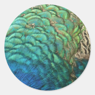 Pauwveren I Kleurrijk Abstract Natuurontwerp Ronde Sticker