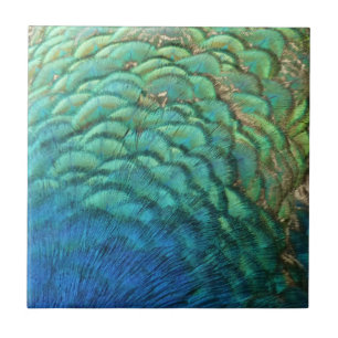 Pauwveren I Kleurrijk Abstract Natuurontwerp Tegeltje