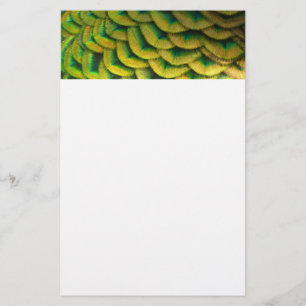 Pauwveren II Kleurrijke Natuur Briefpapier