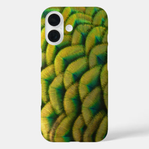 Pauwveren II Kleurrijke Natuur iPhone 16 Hoesje