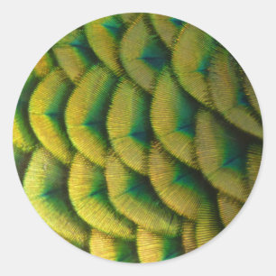 Pauwveren II Kleurrijke Natuur Ronde Sticker