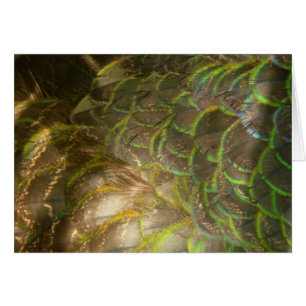 Pauwveren III (Vrouwelijk) Subtiel Natuurontwerp