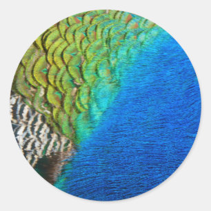 Pauwveren IV Kleurrijke Abstracte Natuur Ronde Sticker