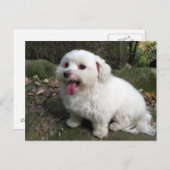 Pauze tijd briefkaart (Voorkant / Achterkant)