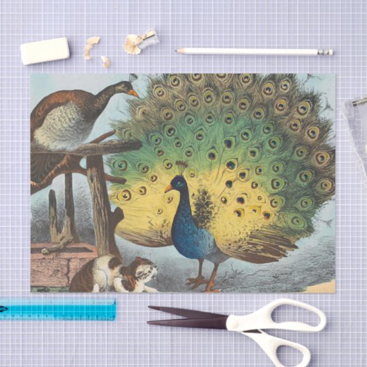  pauzes en een kat tissuepapier (Craft)