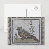 Pavement dat een fazant weergeeft briefkaart (Voorkant / Achterkant)