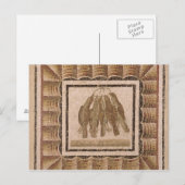 Pavement met vijf borstels uit El-Jem Briefkaart (Voorkant / Achterkant)
