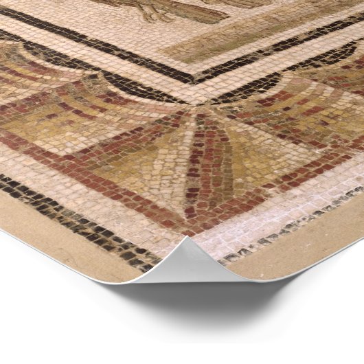 Pavement met vijf borstels uit El-Jem Poster (Hoek)